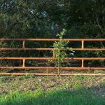 Top Reasons Fence Installation In Lee’s Summit, MO Is Worth Every Penny