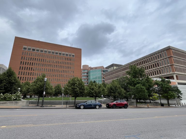 St. Louis County Council Passes Panhandling Restrictions